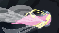 Fluttershy leaves through the portal S4E16