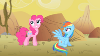 Pinkie, I have no time for this.