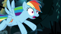 Rainbow "must be having the worst time" S9E21