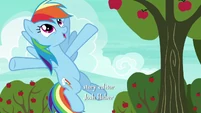 Rainbow Dash "teamwork..." S6E18.png (906 KB)