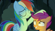 Rainbow Dash pats Scootaloo on the head S7E16