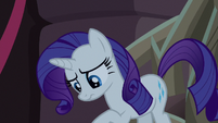 Rarity looks through her saddlebags S8E25