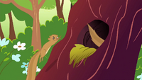 Squirrels going back into the tree S1E23