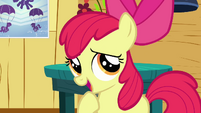 Apple Bloom 'A bunny-sitting cutie mark' S3E11