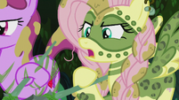 Fluttershy --all servants of Queen Chrysalis-- S5E25