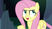 Fluttershy Changeling --might be the real Fluttershy-- S6E26
