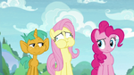 Fluttershy breathes in too much air S9E15