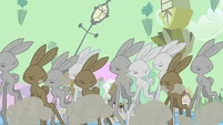 The return of the "Bunny Stampede"