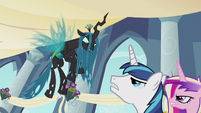 Princess Cadance isn't intimidated by Queen Chrysalis.