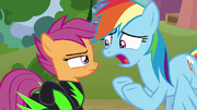 Rainbow "you can't see how dangerous" S8E20