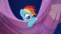 Rainbow Dash looking down at Fluttershy MLPRR