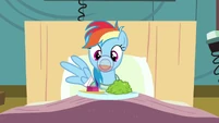 Rainbow Dash stuck S02E16