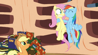 "Perfect! Fluttershy’ll sneak out of Ponyville and find Twilight."