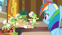 Rainbow Dash watches the grannies stretch S8E5