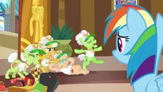 Rainbow Dash watches the grannies stretch S8E5.png