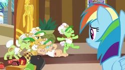 Rainbow Dash watches the grannies stretch S8E5