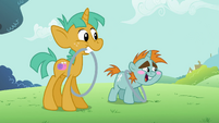 The Cutie Pox