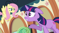 Twilight and Fluttershy on the train S03E12