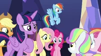 At least someponies understand what the friendship journal is about.