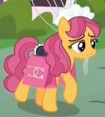 Twinkleworks ID S5E18