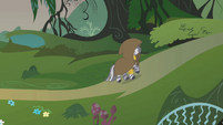 Zecora entering the Everfree Forest S1E09