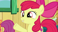 Apple Bloom "more Crusader-y than that" S6E19