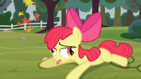 You don't look too good, Apple Bloom.