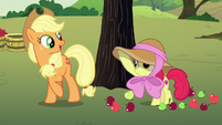 Applejack -you're the exception in our family- S7E9