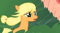 Applejack apologizing to Twilight S1E08