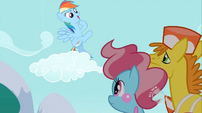 Rainbow Dash has to...well, dash.