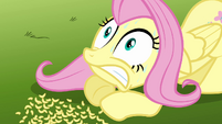 Fluttershy watching the animals in complete shock