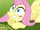 Fluttershy even more worried S3E05.png