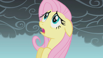 Fluttershy frightened mid-flight S1E07