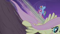 Fluttershy speeds down while Rainbow catches Pinkie S1E02