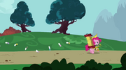 Pinkiepied