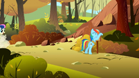 Rainbow Dash changing signs S1E13
