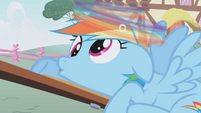 Rainbow Dash derping S1E4