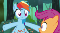 Rainbow Dash drops berries on the ground S7E16