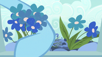 Rainbow Dash picks flowers covered in pollen S7E23