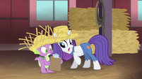 Rarity "who the hay is that" S4E13