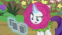 Rarity looks at Sweetie Belle in the photos S7E6