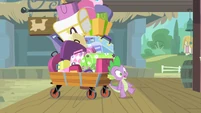 Rarity's luggage