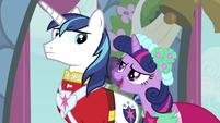 Twilight talking to Shining Armor S2E26