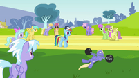 Rainbow, supervising the pegasi training.