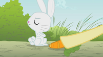 Angel refusing Fluttershy's carrot S1E07