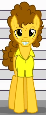 Cheese Sandwich lookalike 2 ID S4E12