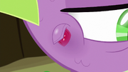 Close-up on Spike's stone scale S8E11