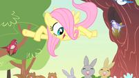 Filly Fluttershy '...love...' S1E23