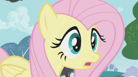 Fluttershy uhh S1E7