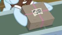 Mailpony picks up Big Mac's package S8E10